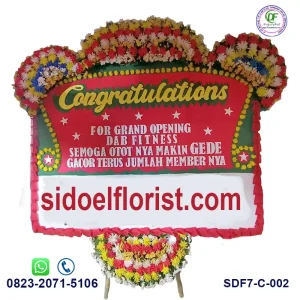 Bunga Papan Congratulations SDF7-C-002